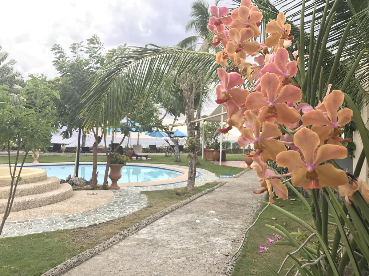 Cabilao Sunset Dive&Beach Resort Loon Exterior foto