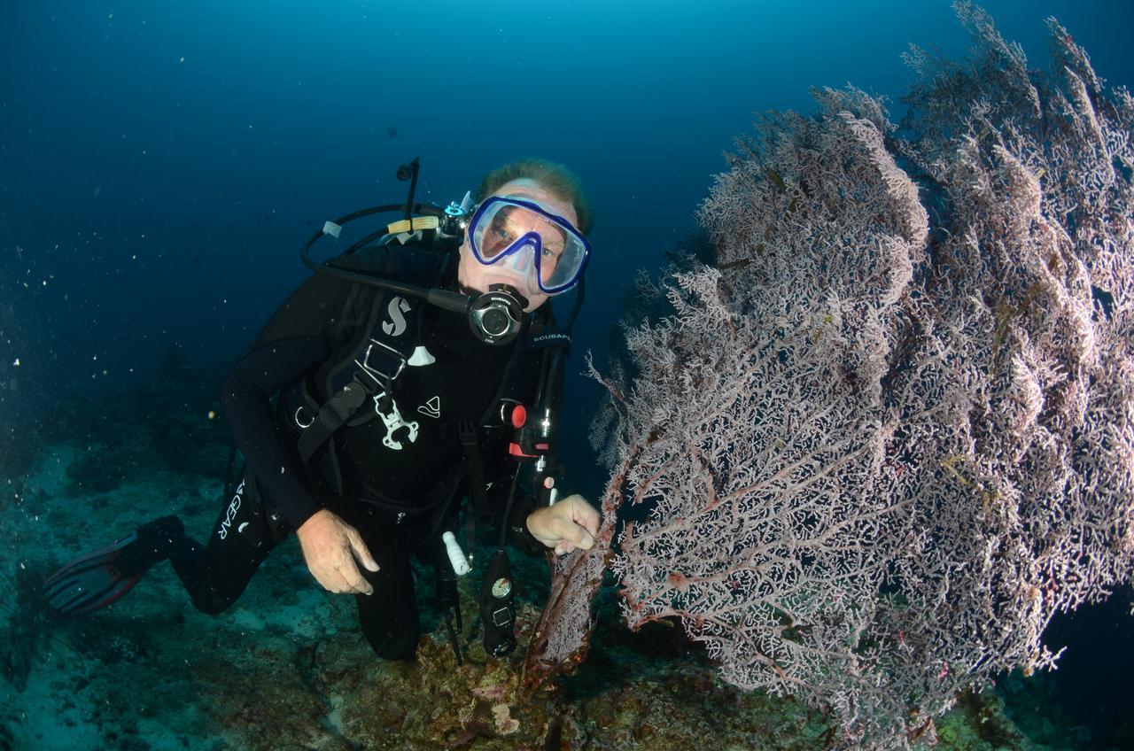 Cabilao Sunset Dive&Beach Resort Loon Exterior foto